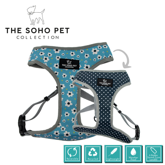 Ancol | Soho Collection | Dog Harness | Reversible Blue Daisy & Navy Polka Dot Pattern