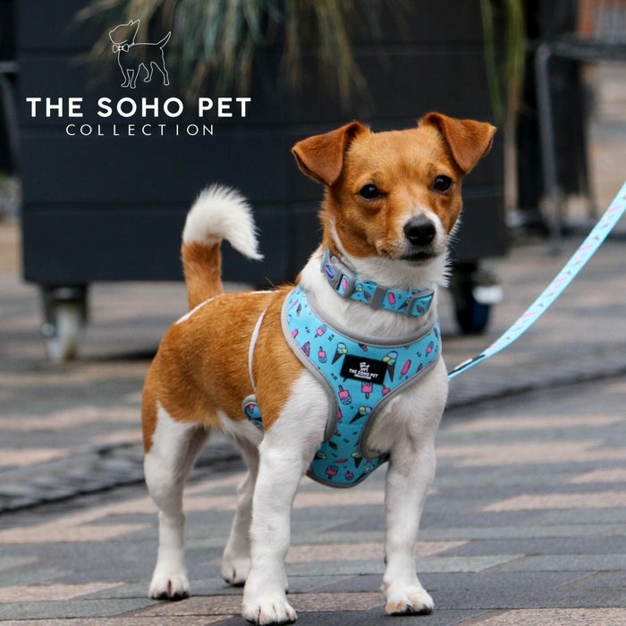 Ancol | Soho Collection | Dog Harness | Reversible Green Dino & Blue Ice Cream Pattern