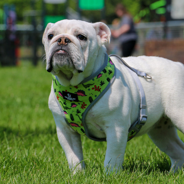 Ancol | Soho Collection | Dog Harness | Reversible Green Dino & Blue Ice Cream Pattern