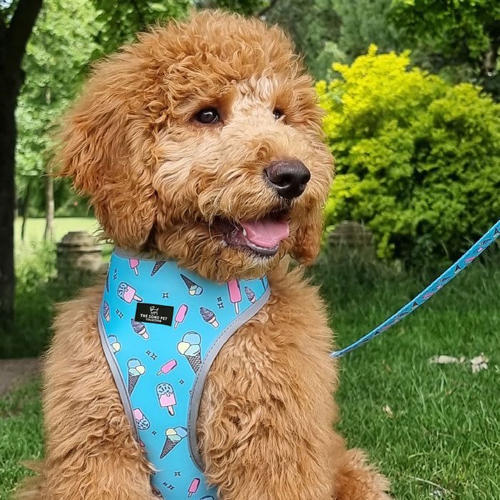 Ancol | Soho Collection | Dog Harness | Reversible Green Dino & Blue Ice Cream Pattern