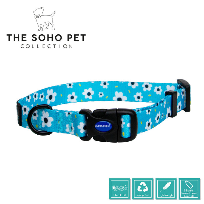 Ancol | Soho Collection | Nylon Adjustable Dog Collar | Blue Daisy Pattern