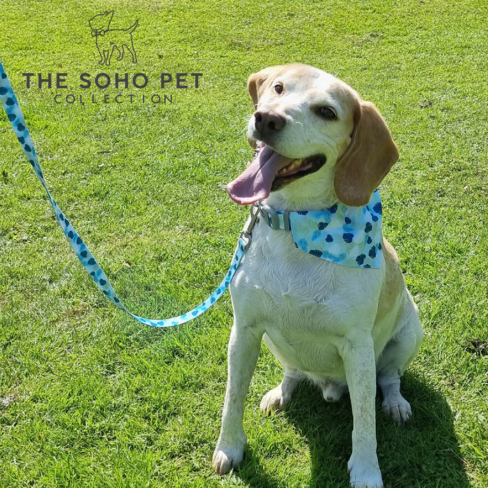 Ancol | Soho Collection | Nylon Adjustable Dog Collar | Blue & Green Leaf Pattern