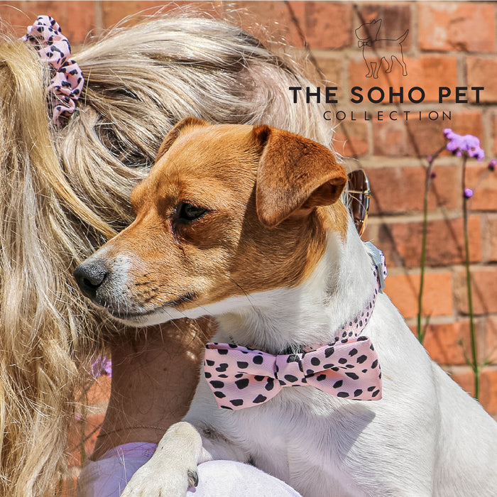 Ancol | Soho Collection | Nylon Adjustable Dog Collar | Dalmatian Spotted Pattern