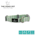 Ancol | Soho Collection | Nylon Adjustable Dog Collar | Green Stripe Pattern