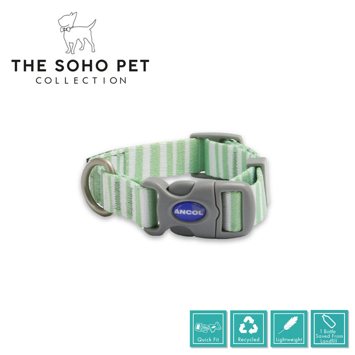 Ancol | Soho Collection | Nylon Adjustable Dog Collar | Green Stripe Pattern
