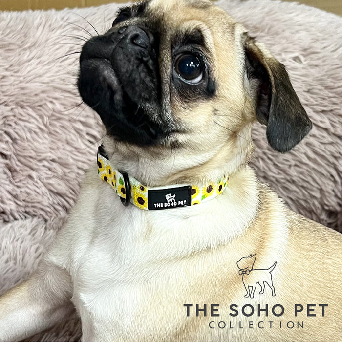 Ancol | Soho Collection | Nylon Adjustable Dog Collar | Yellow Sunflower Pattern