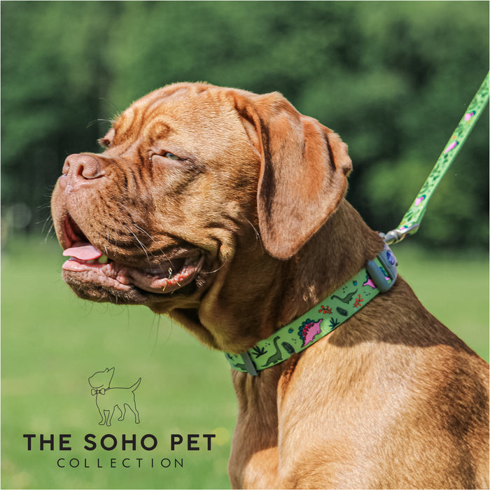 Ancol | Soho Collection | Nylon Dog Lead | Green Dino Pattern