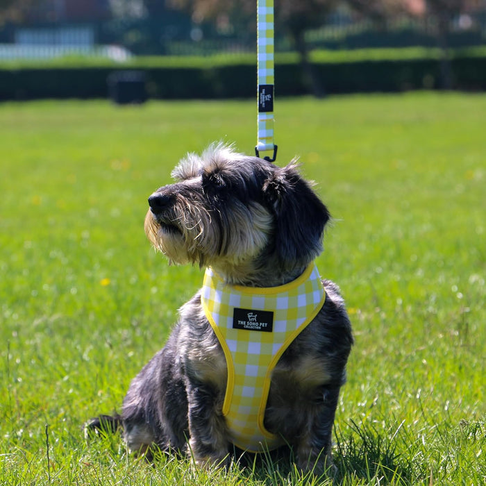 Ancol Soho Reversible Dog Harness | Sunflower & Yellow Check | Eco Friendly