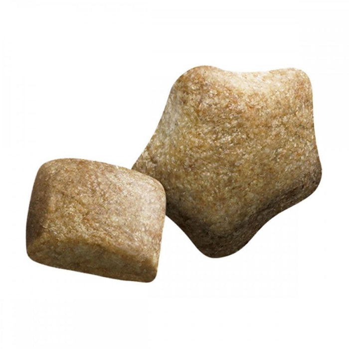 Beta Adult Chicken Dry Dog Food