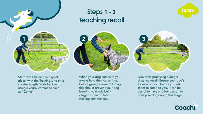 Coachi | Dog Lead | Long Training Line