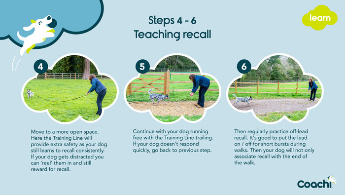 Coachi | Dog Lead | Long Training Line