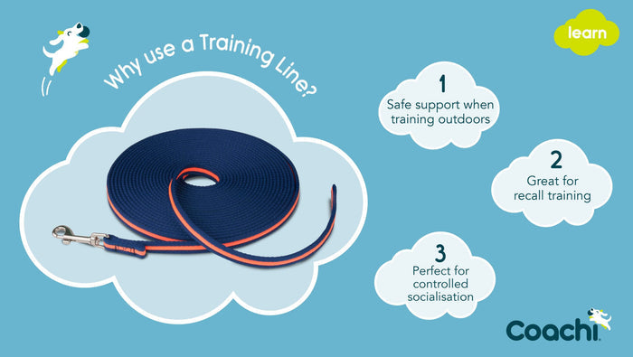 Coachi | Dog Lead | Long Training Line