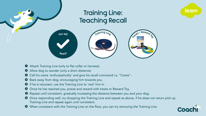 Coachi | Dog Lead | Long Training Line