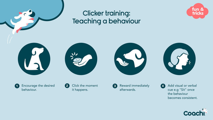 Coachi | Whistle & Clicker Combined Dog Training Tool | WhizzClick
