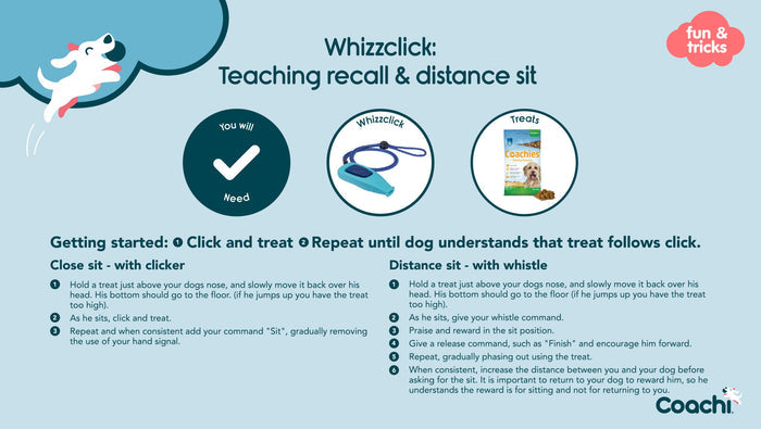 Coachi | Whistle & Clicker Combined Dog Training Tool | WhizzClick