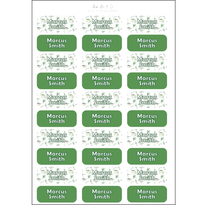 Dinosaur & Green Kids’ Name Label Stickers (55mm x 21.5mm – Pack of 30)