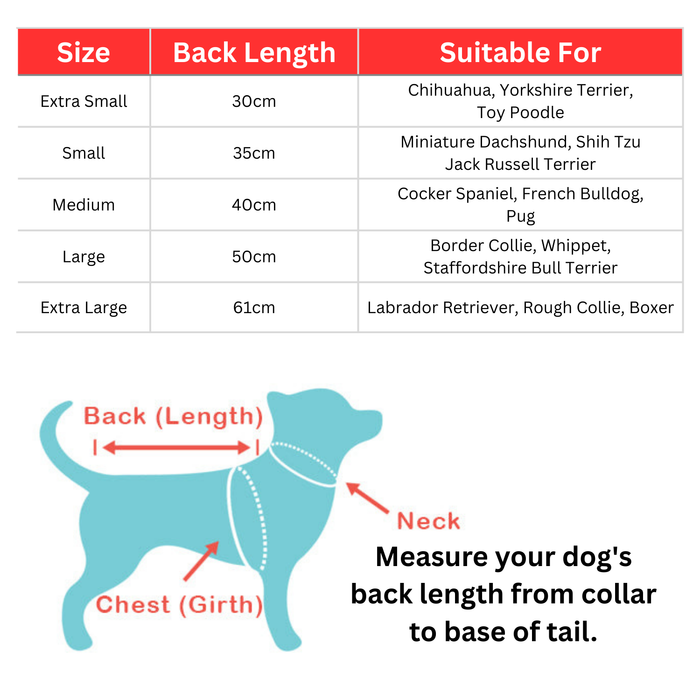 Happy Pet Paw Print Design Waterproof & Fleece Lined Dog Jacket - Sage Green