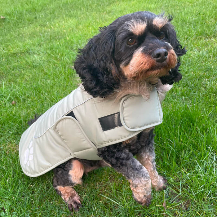 Happy Pet Paw Print Design Waterproof & Fleece Lined Dog Jacket - Sky Blue