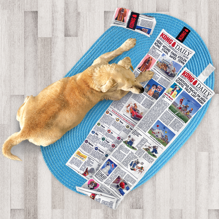 Kong Daily Newspaper | XL Dog Enrichment Toy