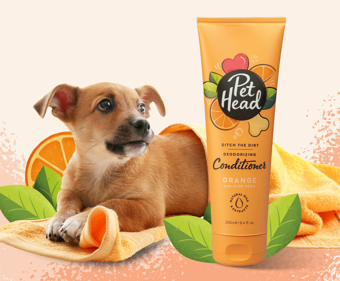 Pet Head | Ditch The Dirt Conditioner for Dogs - 250ml