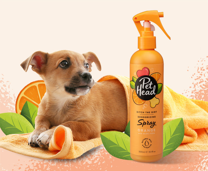 Pet Head | Ditch The Dirt Grooming Spray for Dogs - 300ml