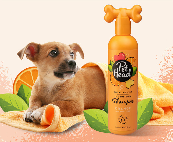 Pet Head | Ditch The Dirt Orange Scented Deep Cleansing Shampoo for Dogs - 300ml