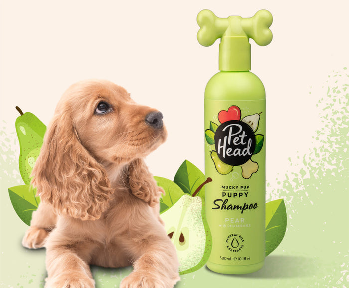 Pet Head | Mucky Puppy Shampoo - 300ml