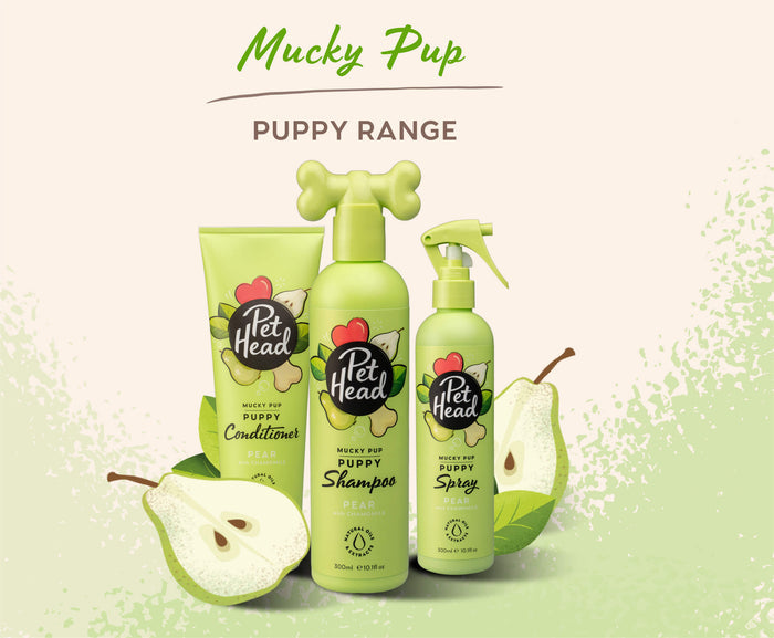 Pet Head | Mucky Puppy Shampoo - 300ml