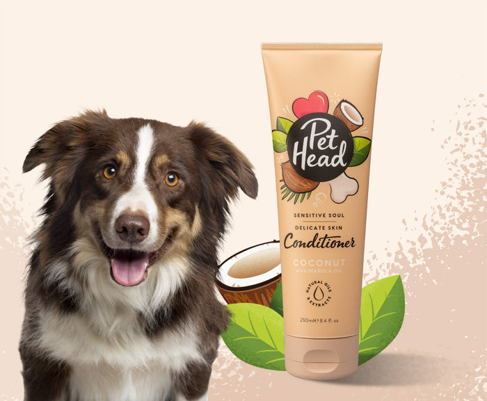 Pet Head | Sensitive Soul Conditioner for Dogs - 250ml