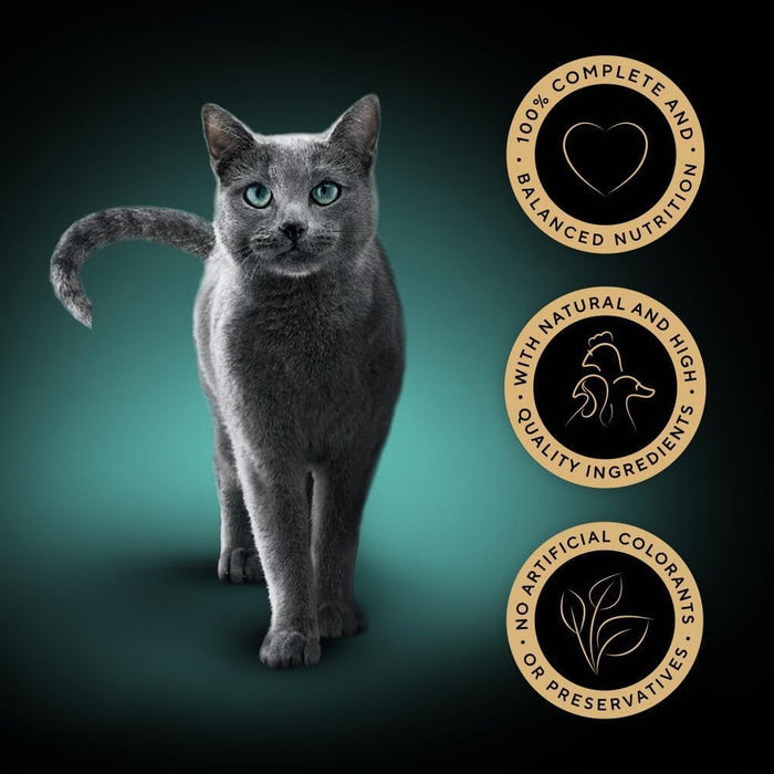 SHEBA Fresh & Fine Cat Food Pouches Poultry in Gravy 50x50g | Complete Wet Food for Adult Cats