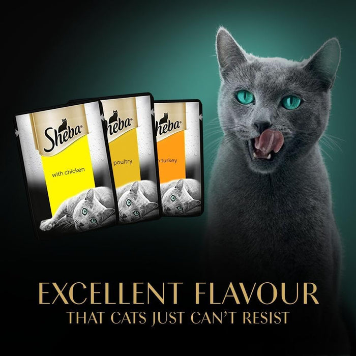 SHEBA Fresh & Fine Cat Food Pouches Poultry in Gravy 50x50g | Complete Wet Food for Adult Cats