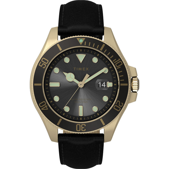 Timex Harborside Coast 43mm Leather Strap Men's Watch, TW2V42200UJ