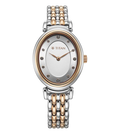 Titan Aura Quartz Analog Silver Dial With Two Toned Stainless Steel Strap Women's Watch, 95242KM01