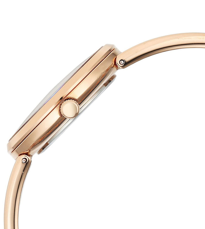 Titan Raga Afterglow Quartz Analog Brown Dial Rose Gold Metal Strap Women's Watch, 2746WM01