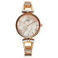 Titan Raga Ascend Quartz Analog Mother Of Pearl Dial With Two Toned Color Metal Strap Women's Watch, 2747KM01