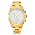 Titan Raga Black and Gold Silver Dial Analog with Day and Date Stainless Steel Strap for Men's Watch, 1805YM01