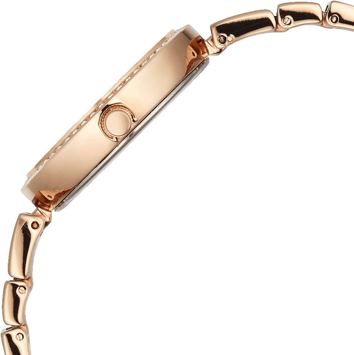 Titan Raga DEC Blaze Quartz Analog Mother of Pearl Dial Rose Gold Metal Strap Women's Watch, 2787WM01