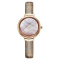 Titan Raga Viva Glam Quartz Analog Mother of Pearl Dial Stainless Steel Strap For Women's Watch, 2737WM01