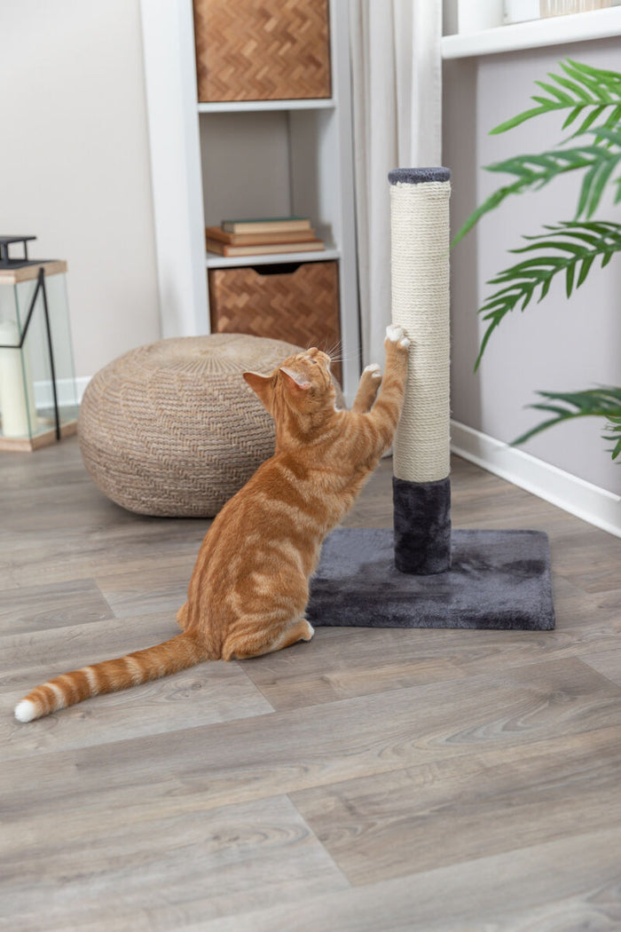 Trixie Batres Scratching Post 62cm Platinum Grey