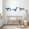 Whale Trio Pack